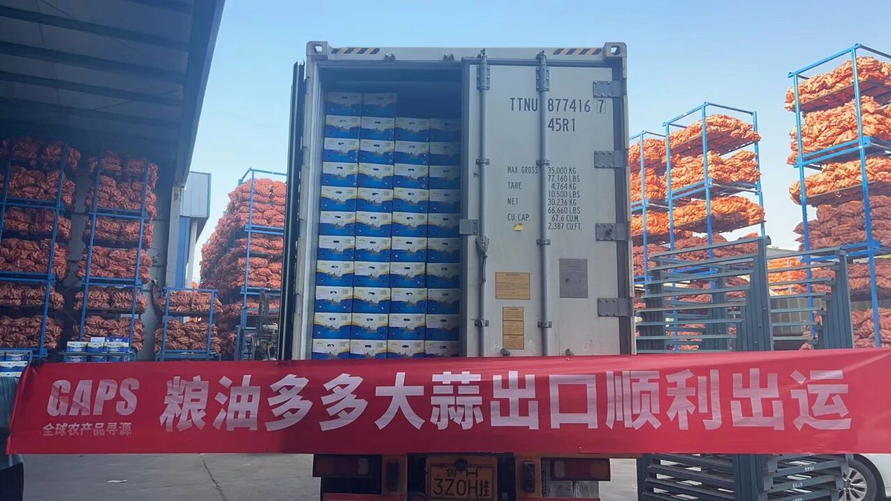  LYDODO GAPS Achieves New Milestone: Domestic Garlic Successfully Shipped to Kenya, Launching a Brilliant Cross-Border Chapter