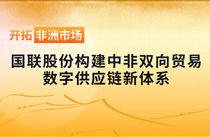 Pioneering the African Market: IBI Constructs a New Digital Supply Chain System for Sino-African Bilateral Trade